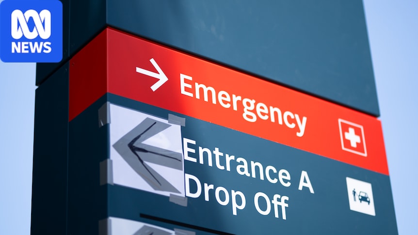 Sydney's busiest emergency departments revealed in new health data 1 bffb39980f0d200d55d6db6b36f5407dc8b015e787e0f1d4af9e79a1b02a7d5d