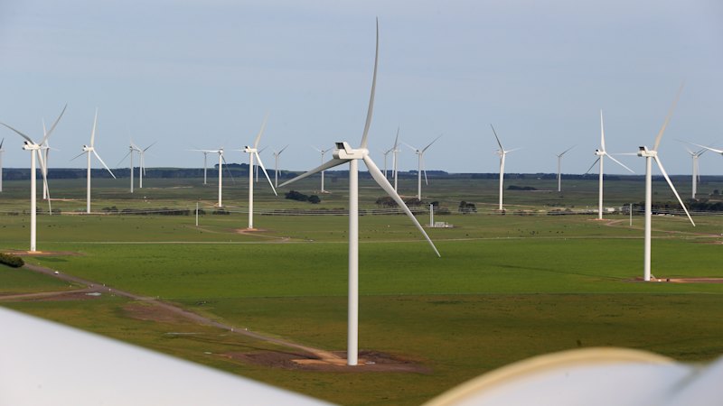 ‘It is ideology, not economics’: Queensland accused of driving away renewables investment 1 c08e27bf0e9964816eb5e8c79bf1aa249657e3ce4ce32590191281aa60fdc969