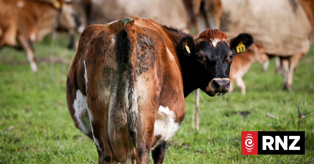 Global dairy prices holding steady, despite increase in seasonal supply 1 c20c4a6b98a6d7afc8a8e463df8f3b86cdca75cdca8fc1ec20cf2e84fb6b606f
