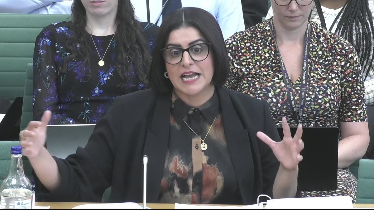 'One in, one out' deal with France sees costs jump to £56,000 for every small boat migrant sent back, Shabana Mahmood reveals 1 c431122730480ac2ef495ff73e518d327340d9b65781bbaec203a2846a93c2fe