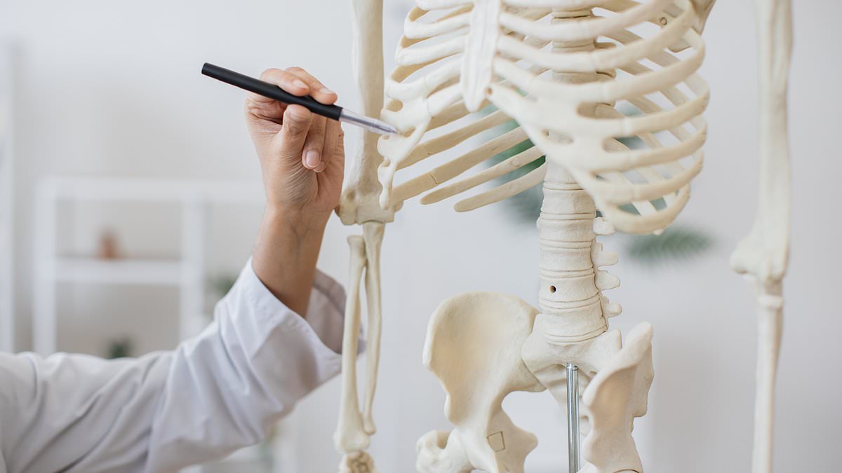 Experimental cancer drug could stop osteoporosis and help women stay slim after menopause 1 c4865d187fcac10fcd86c66ef567421b0cca37f34ea13aaed7010295ddaa6f2c