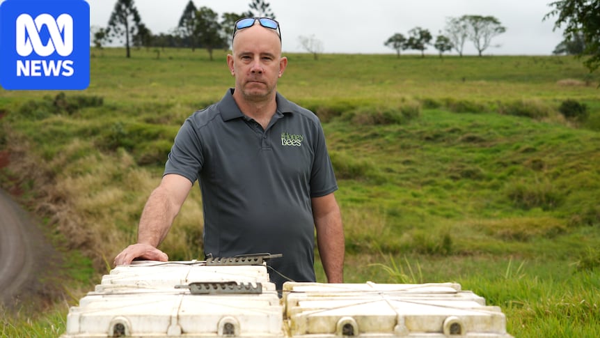 Beekeepers reeling after bees worth up to $20k stolen 1 c91f226657799c624ecdbb712cbde65775600f083f1fc9f2190db09d2003110e