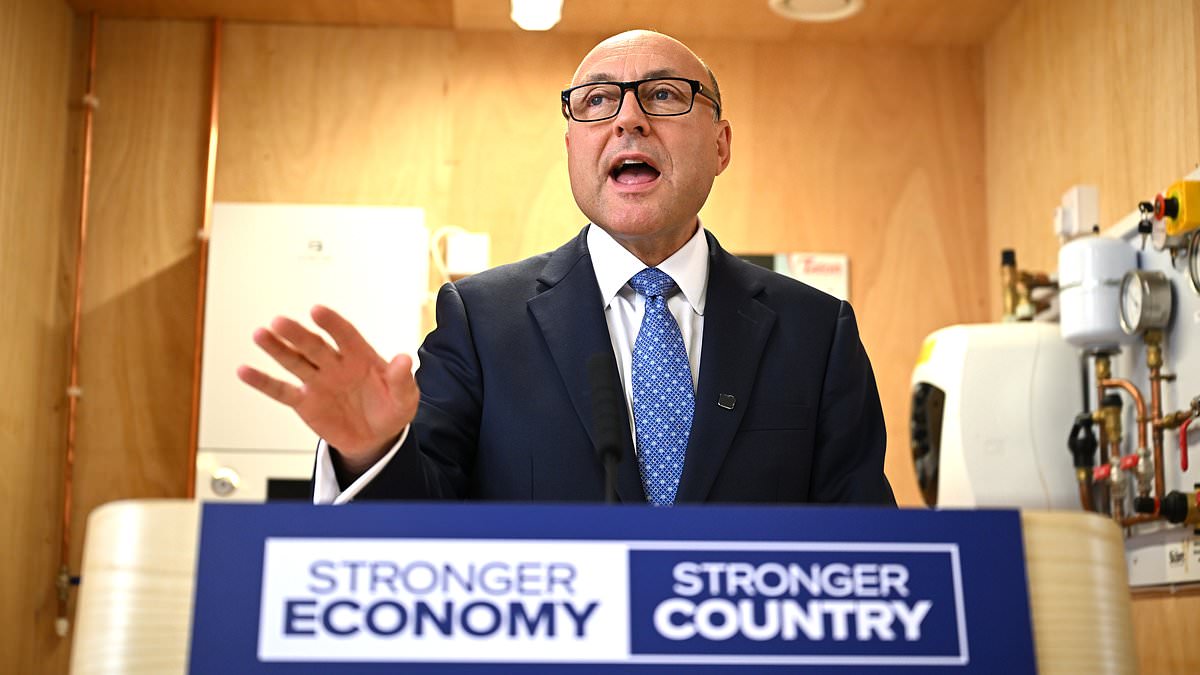 'We are reaching nosebleed territory': Griffith demands Healey cut taxes and get a grip on the economy with warning that 'markets can smell weakness' 1 c9eb66d75176bbe4ce765c168f02c866cfc54df497270f8c67f68b57487d3172