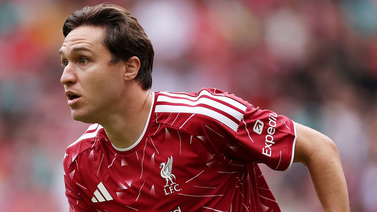 Federico Chiesa is left OUT of Liverpool's 25-man Champions League squad in latest blow to Italian - as three injured stars and youngster with only three Premier League appearances make the cut instead 1 cd1250b7562662697158feee8bbe7b2516037231d61637cccc9abb9c75d3bea8