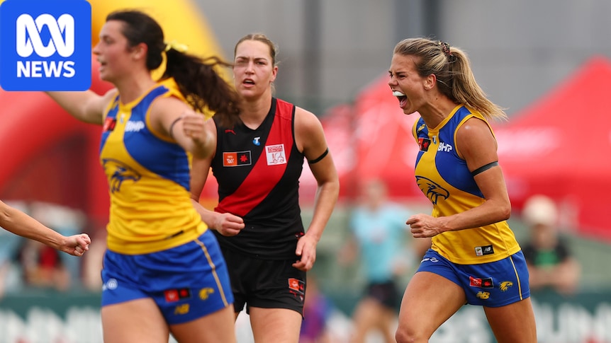 Eagles keep Dons winless, Dogs put Power on the brink 1 cd1df6a17f4b6b56470b484e5291044513e1ff5d461cb1c39133aac32d2c0963
