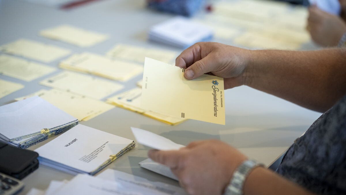 Ballot system under review again after long queues and ballot thefts 1 cdca27cf3945668cd72652191d924a8d308f25298e26e64f00e34dcd62a122e1
