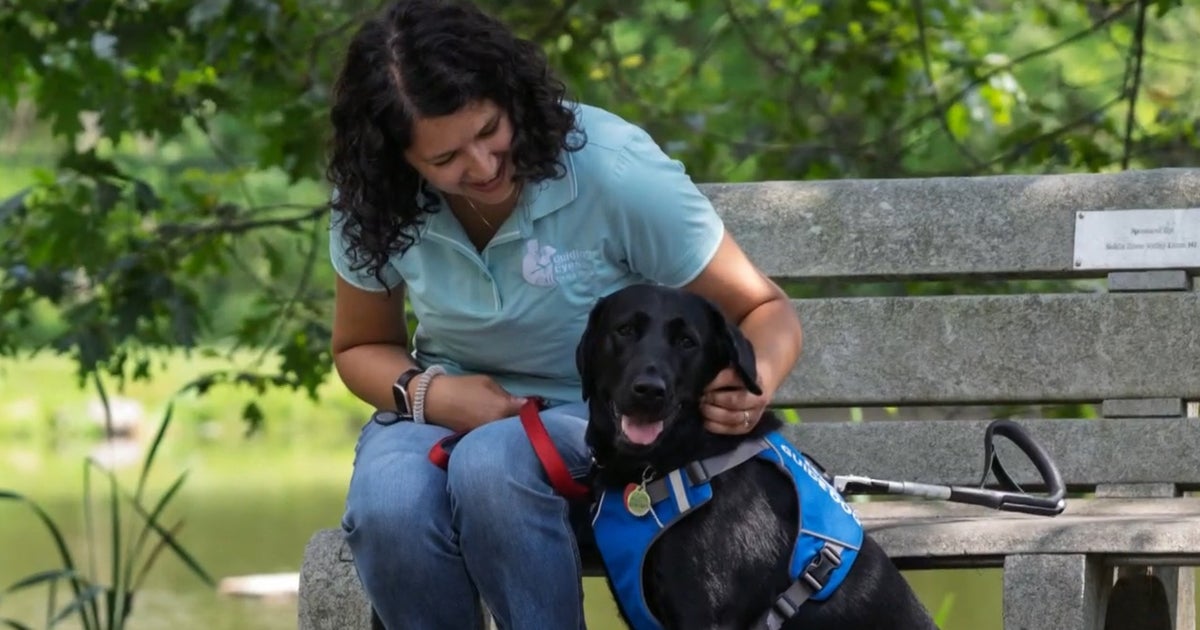 What it takes to become a guide dog puppy raiser 1 d0aa65ea381c1a44fb96ac687a5d25c88c8f05bf9179406938ae5af630a0eeb3