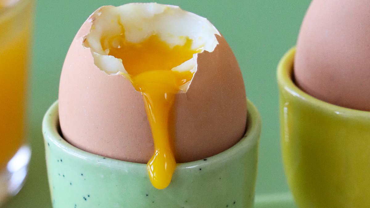 Salmonella infections jump again: Health chiefs announce 50 new cases of deadly bug in just a week and urge some Britons to avoid runny eggs 1 d21f1004ff148dfcc1e627e33557408011c826c57b2daa078dc6bcde025b4efd