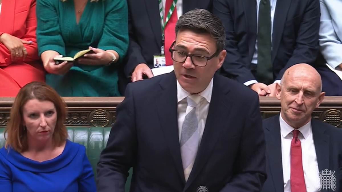 Andy Burnham talks up nationalisation drive blaming Thatcher and Brexit for country's woes - as he finally faces grilling from MPs 1 d3bfb50c71ae4c3c268bac371612dcf286b38092d4065c1427baa005337d1e1e