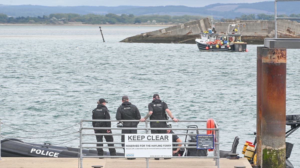 Ferry company condemns Border Force after it lost half a day's worth of takings when ordered to stop services so 140 migrants could be brought ashore in Portsmouth 1 d5912e0bf87ce66abaef8baa32d8444d0daf825be7c8829e6f643d333d870420