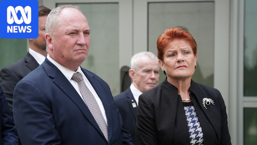 Live: One Nation reveals plan to divert superannuation to boost pay 1 d5ac8a5e4500baf085491c7790ca7d02451e4e7fb7a42aa826463a1a0565902d