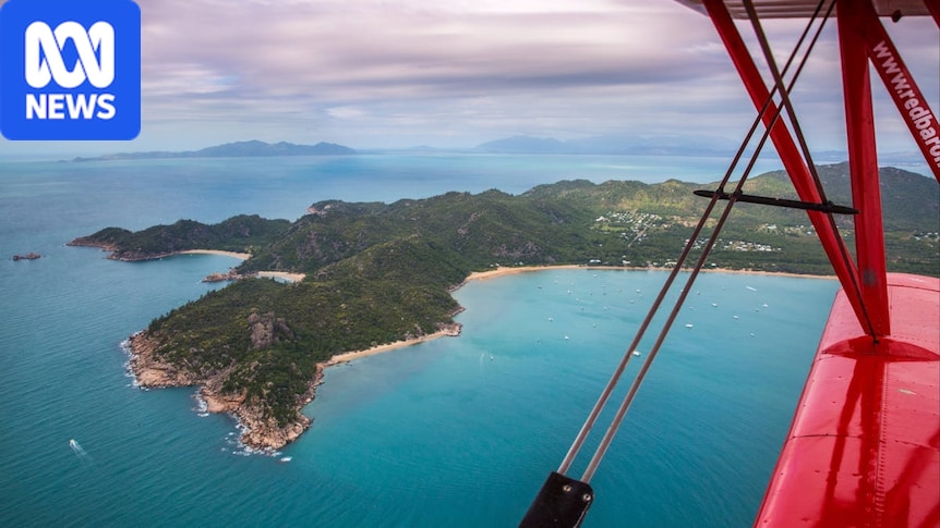 Canadian woman dies in moped crash on Magnetic Island 1 d678f018767be637832d7a3a7778b3dc38830b5fd8f9dce19561513bf73bff0e