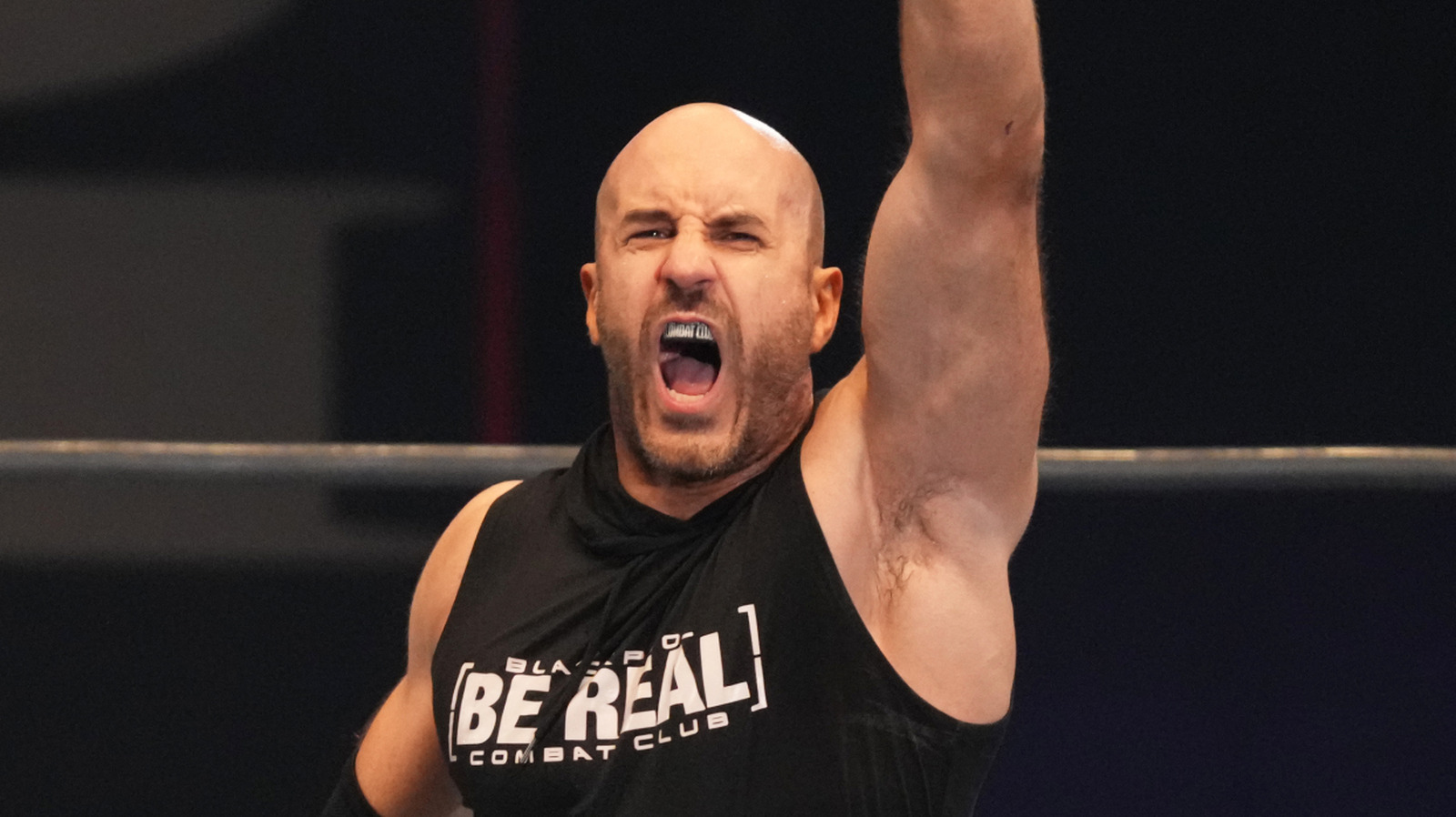 AEW's Claudio Castagnoli Explains How WWE Tag Title Victory Was Inspired By Baseball 1 d848883ce84411eb942ef62311292e8207354df796d7de7f7eb11559378f74a5