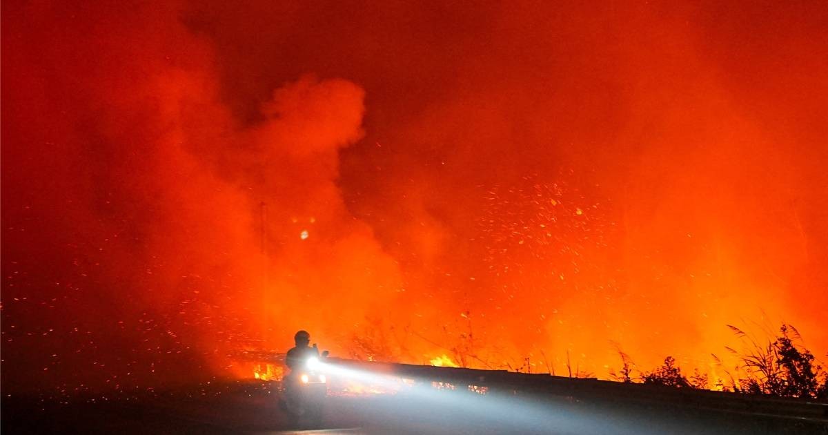 Indonesia president calls for stricter sanctions against forest fire perpetrators 1 dcc6fa296cc315332549fe6243faad32654811df9050059f32c598f22ab55b41