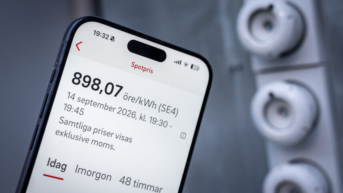 Electricity prices hit record levels in southern Sweden as winter outlook darkens 1 dd90bb2a280a79feeb9bbf12cc4e98e9df51b68c8776aea1b3810da751fc74ad