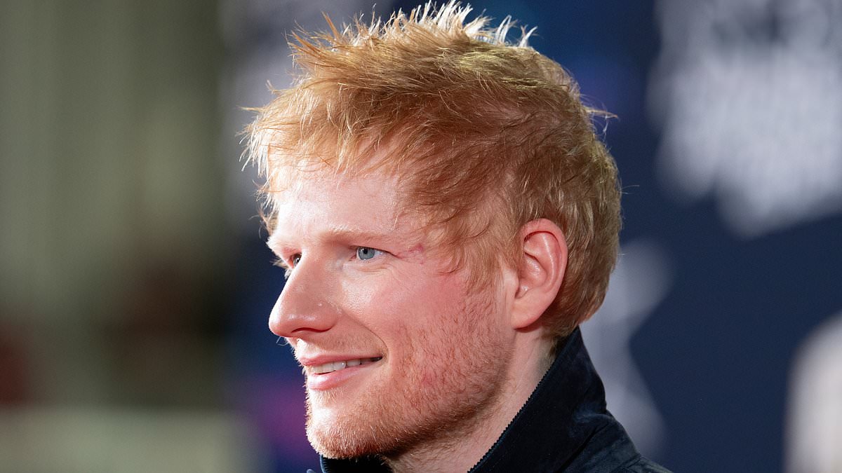 Ed Sheeran is granted permission to build ANOTHER wildlife pond: Superstar risks fury of residents at his £1.1million 'Sheeran-ville II' recording studio 1 de3e955a57abb5ab9e48323d4fd2778a2a5c1d5b29f9012d2eb8d03cb847b74a