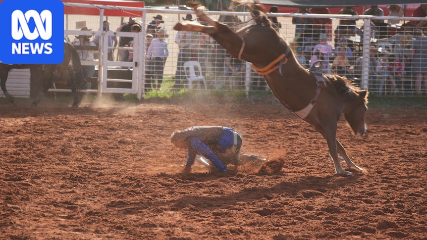 Cowboys back in the saddle as Alice Springs Rodeo returns 1 e874eadbc34aff1733c3b995e8386907c4fae12bc0cfb46e4c78ebd500afb3f6