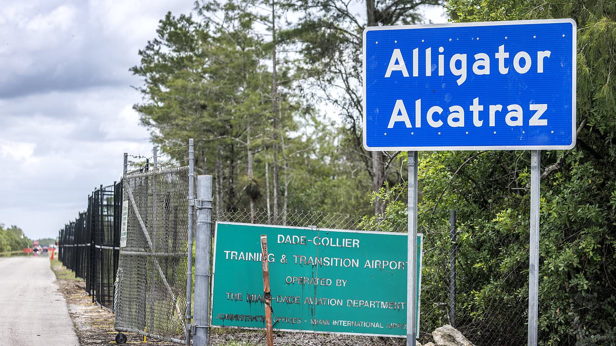 Explosive report into Trump's now-closed 'Alligator Alcatraz' migrant detention facility reveals small cage 'calming areas' and other deplorable conditions 1 ed2a9fe98298bfe1ebf2d03fce8dcd3dea1a5976d7f650e6c6554157508b526b 1