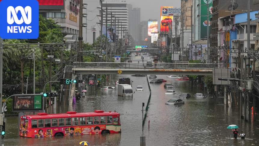 Bangkok declared disaster zone after nearly 300mm of rain in two days 1 ed4d29db38e56d2e620ce1a77778a48d9068d2e5016c231d440fe262eb4f8462