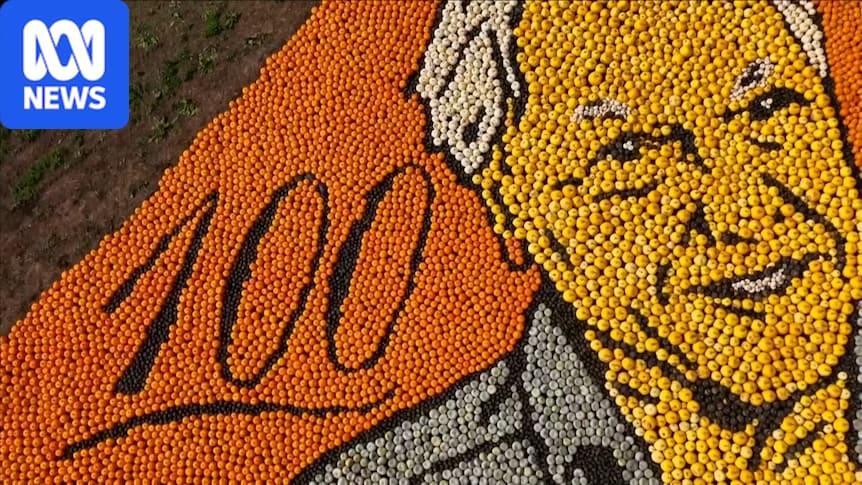 Pumpkin mosaic of David Attenborough breaks world record 1 f178a1c76a88082a299755020bac06b5971fb44df56c08d49b22168658622b15