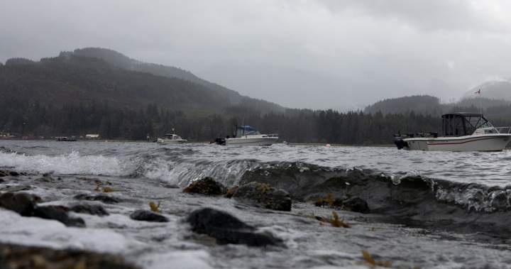 B.C. coast, parts of Vancouver Island set to see heavy rains, strong winds 1 f2a66448476689a40cb028645f5536bd449fbafbcb161360a4a9fc1f691b3bca