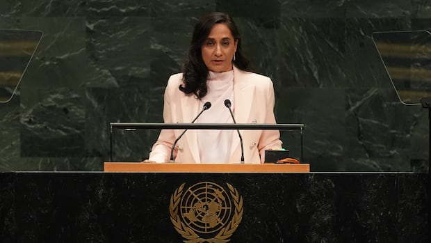 In UN address, Anand takes jab at 'great powers' disrupting global order 1 f390485a2325183088d6f9f2d76c9481be0ca5bbe6edebdc2c4750cb1887bb44