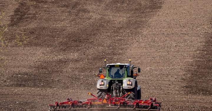 Maritime farmers hit by major drought last summer say they’re on the road to recovery 1 f82bad3ddacdf1fa3c7532790264f44a1058289e698e72f0cf112898a560c3e1