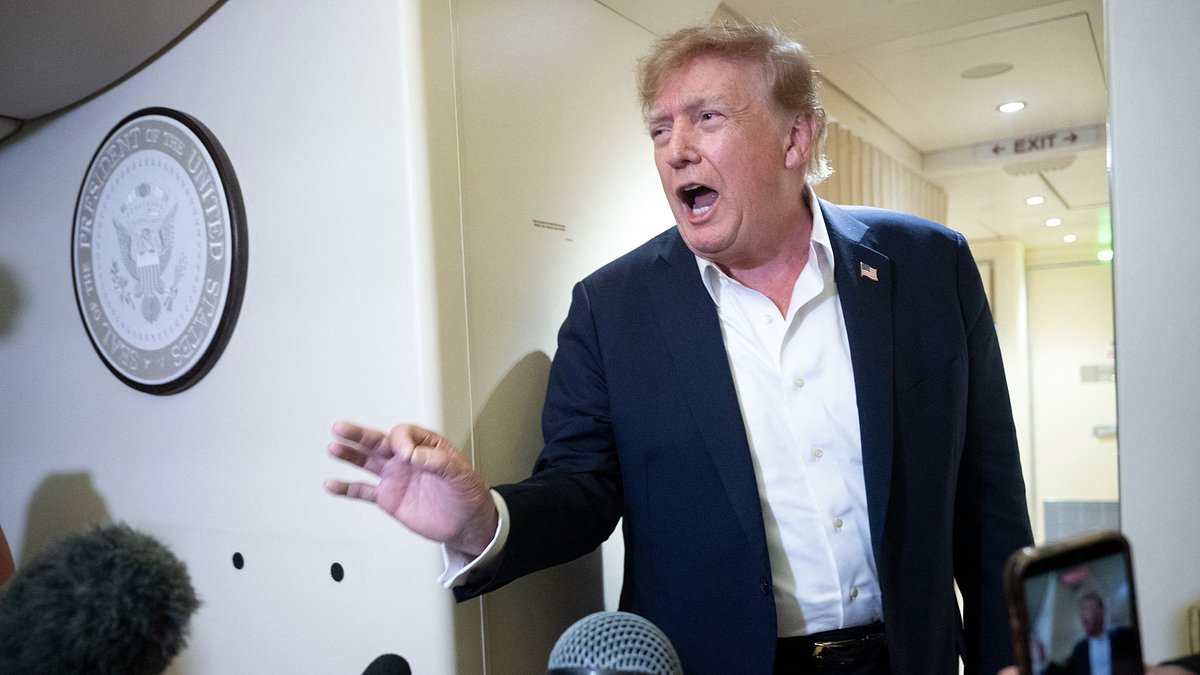 Trump claims HE'S the only guardrail that AI needs and slams 'sick conspiracy' pushing for more regulation 1 f8dfd9d3275305231101eb811664731b5b54f8fedfe955ffdb881246044d40e5 1