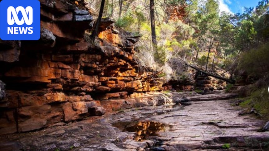 Breaking: Search underway for hiker missing at Mount Remarkable National Park 1 fb90c266829a96e80fe6c7c075d4a6218514ba3f2e0b6b40d117fab5197ba97f