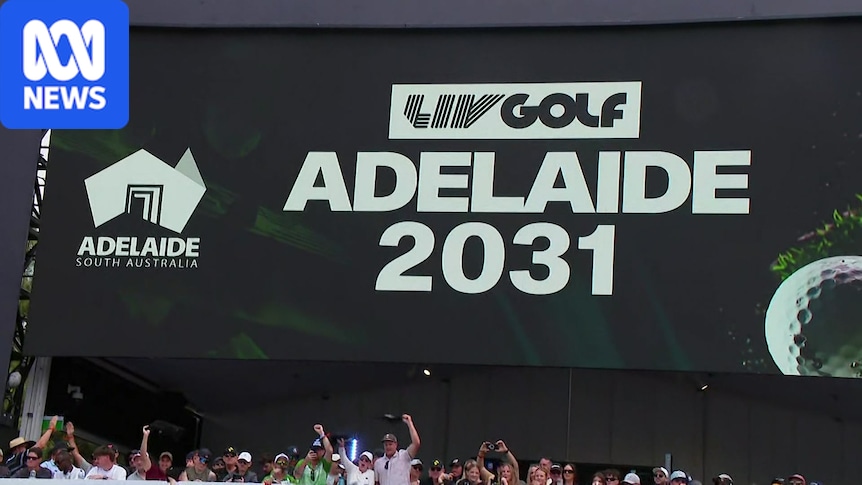 SA government backed a risky horse in LIV Golf — lucky it hedged its bets 1 fc304614ccd5543b58c8085a646eaec66831c335fbf4b7b8afce8a30686e7131