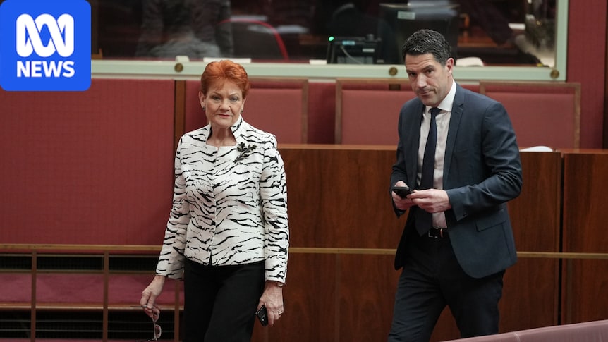 One Nation says election of Alex Antic to SA Liberal president a 'win' 1 fc9ec514663fd895d4c42f1f345d591c5cf36a247418c6930350781d392a2b84