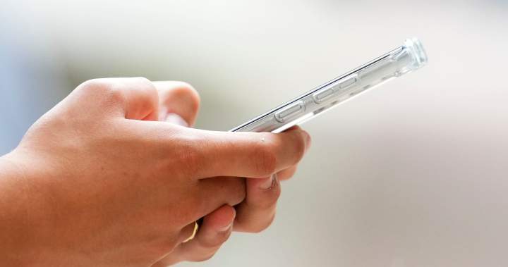 fd0aaad3296bbaa10db88ec45ede0295802b3f0b043929d4738a696d24767248