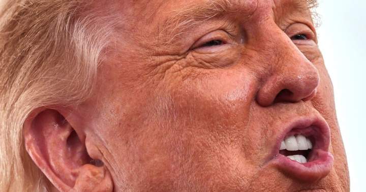 Trump says Canada ‘wants to make a deal very badly’ 1 fd74d9ee74e8c0dee192933dc7074185a7dc5539695284f61fea801d1f4671a2