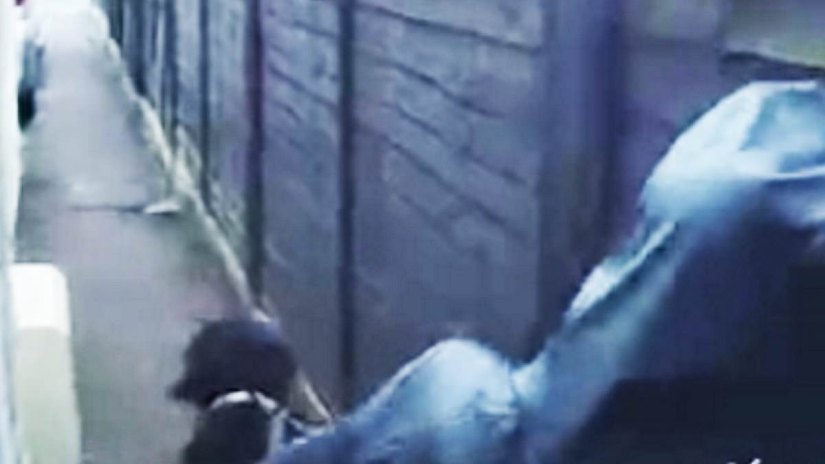 Moment hooded woman is caught on doorbell camera leaving family home with dog in suspected break-in 1 fd921e77fdf8c6da9d7a0b0327c69f182c789de9d57bd7867f903f07970a09f5