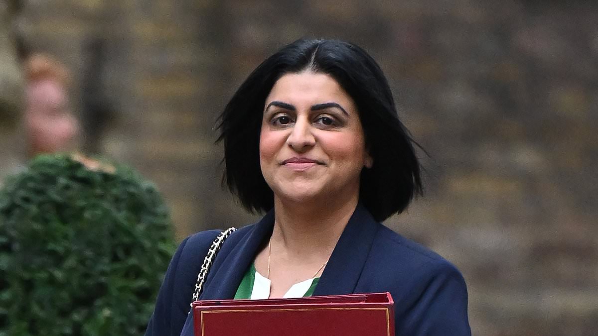 Labour's new immigration laws will not deter small boat migrants and only 'tinkers with the edges', top lawyers warn 1 fe70f9362838e39e7f05d18d6458aaa701b5c73cfa2a5bb415c5ced07aa2e467