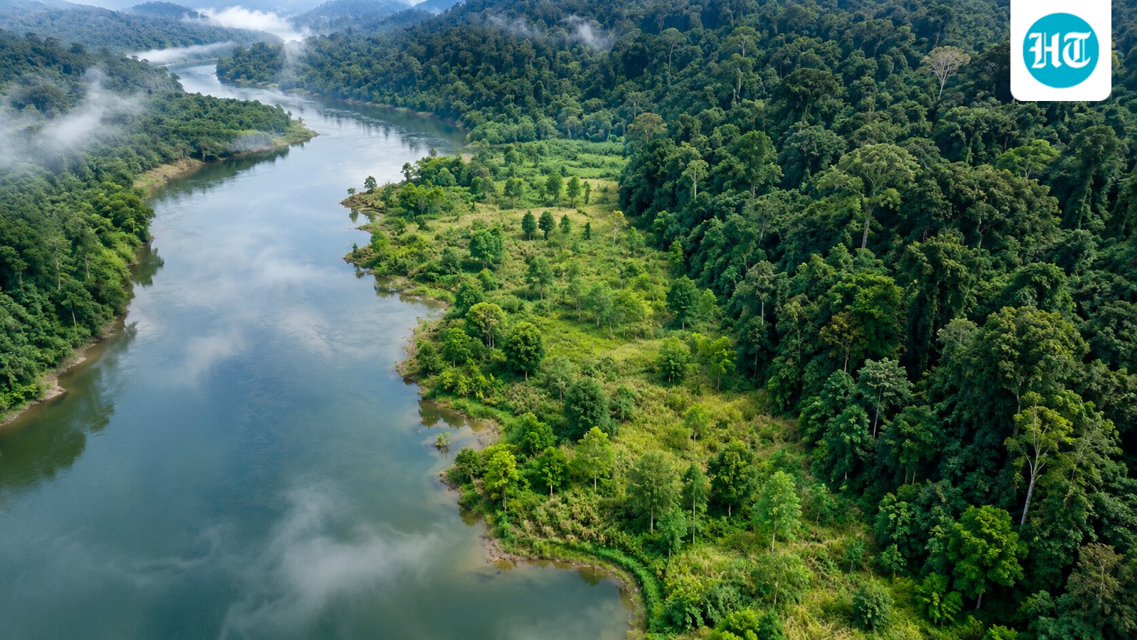 In 2003, China planted native tree patches along a degraded riverbank; 20 years later, they held 19-30% of a rainforest's diversity 1 02b3bcfd0fac6f20fea1d154701b9a91686f36e69e55ff3a73de1708ee9de789