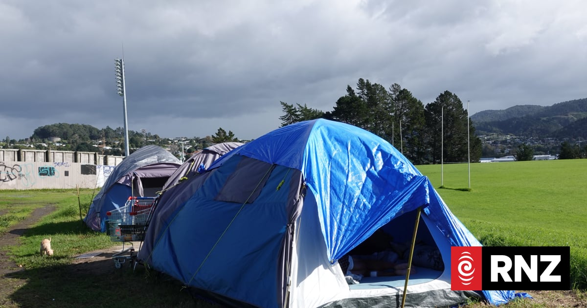 Supporters hope for 11th-hour reprieve for Whangārei rugby ground rough sleepers 1 0495e706ecf1d18ec8d69a4353f6e3a2c7875a837e5b33e41b32bc6c5a22bc65