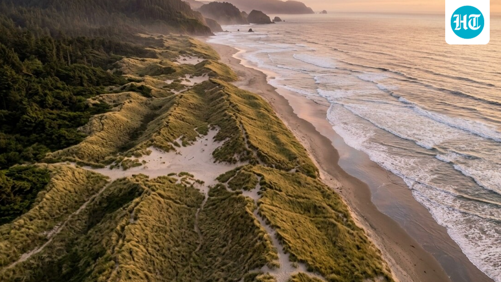 In 1910, Oregon planted a grass to hold back sand. It set off a century of change on the coast 1 07811c8bbc816861d63dcabea4cb7ed0b5ab3714ff984b6cac9eaa806987d5cd