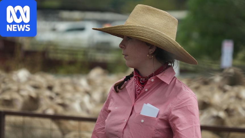Record sheep prices can't save saleyard despite $1 lease offer 1 1299e6d40f9692830daf6b3e1257f9aa35d2df1e8d4f957bc24bd68e58c431d7