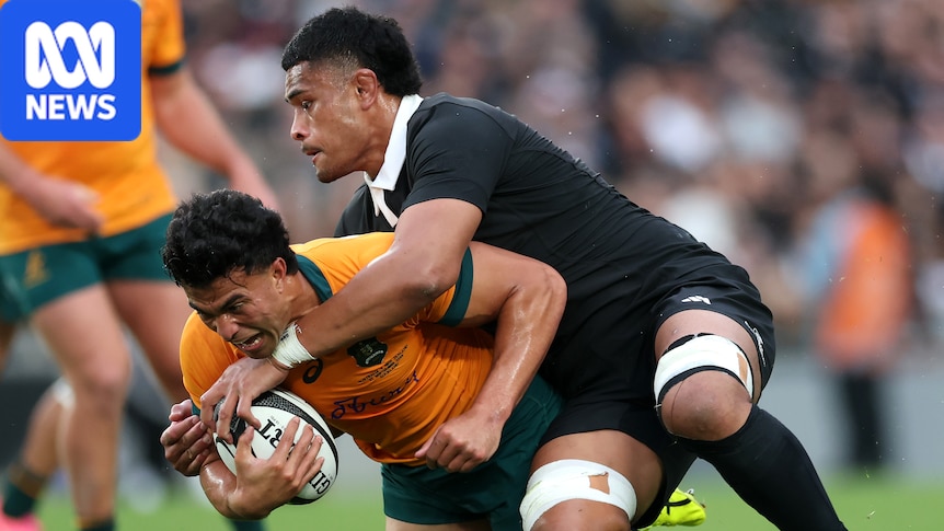 Live: Wallabies desperate to end 40-year hoodoo against All Blacks 1 14cf15a249e98255df121cf1572ce1af76d6b7449ef3e66e9663c984a366c2c0