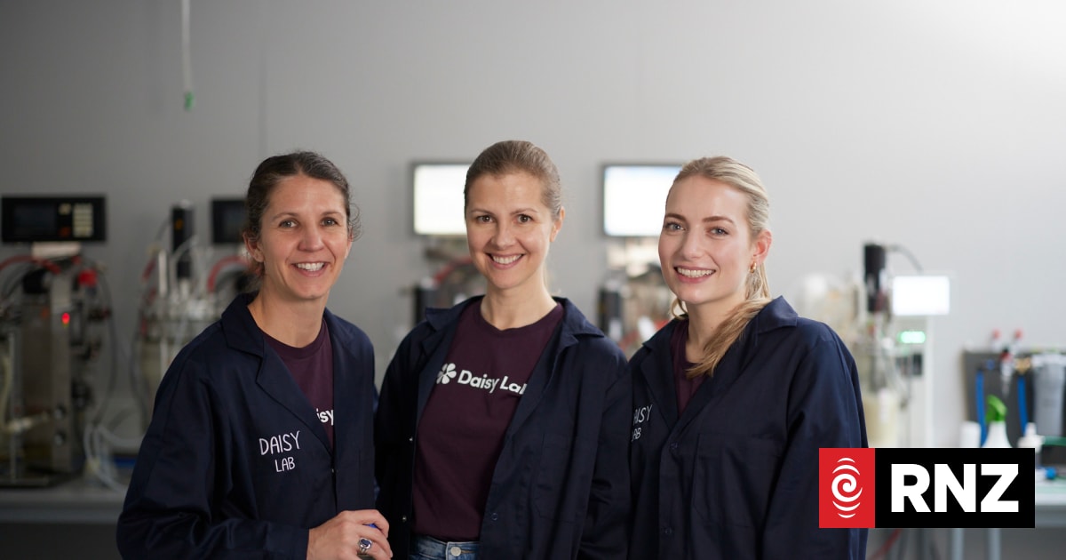 NZ biotech start-up Daisy Lab's expansion hopes after UK acquisition 1 15674f2a99f5828806ec846deddb0739e47e28098a48803196d6be1638ae40e9