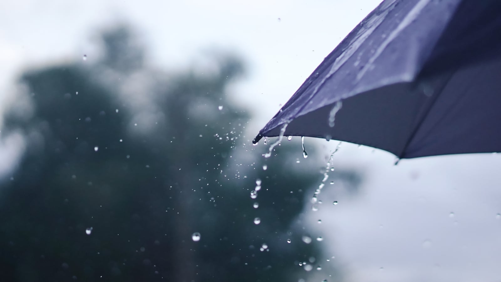 Status Yellow wind and rain warnings for seven counties 1 211be8d38760ecc7dcd9f12e5cbcd5b6f204003015e399275c8efe2d378ecf6d