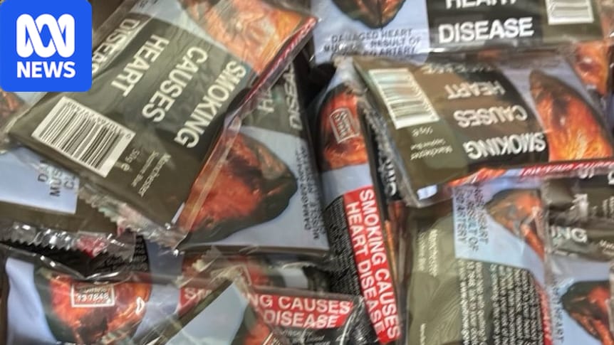 The latest tactic in Australia's illegal tobacco trade is hiding in plain sight 1 22fdb13a40f9e29fbe8e5d2bcc84bfc5290cc8b81669b4fb2acb1789b0f8039b