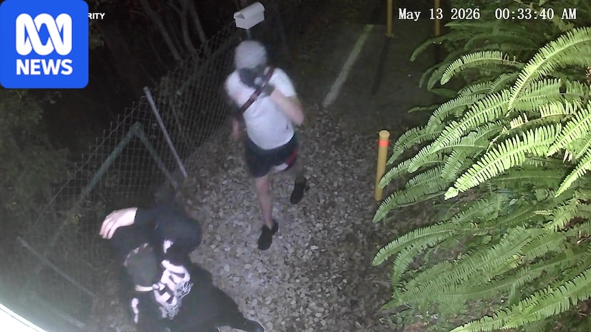 LNP says 'a long way to go to reverse' Queensland's youth crime crisis 1 23a19e5411bc6c25b6a24090e468bb32b2d43b282f3007dfc17f2428e8cccb6f