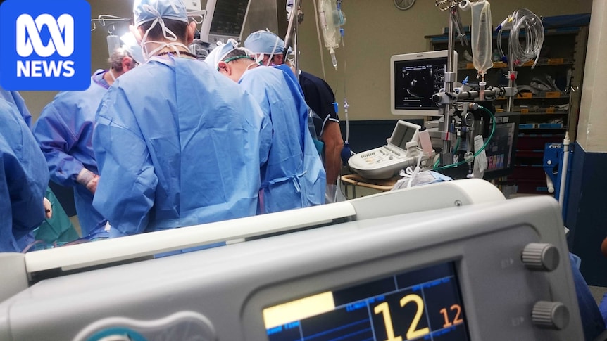 Victorian Liberals promise to slash surgery waitlist while Labor backs land tax cuts 1 24ca71928822581db732c939b52451b9c5d738581362efac72d582e8fb25cdd7