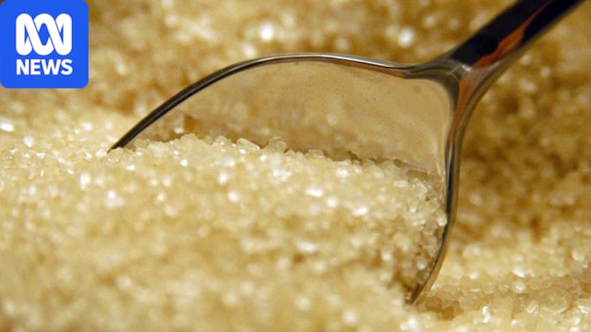 Global sugar prices rally amid key producer Brazil's presidential election 1 289556847e5e8314188352ccc4f10fb35e626dcba27157180fb419e98bff4b62