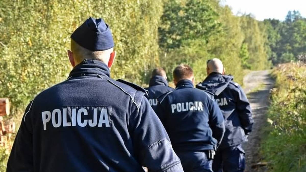Twierdzili, że to wyprawa na grzyby. Policja nie uwierzyła 1 35eff0b338b8c79b16999260bab647d16b6fbfa22e55bc47ac9f7c9e9b4ceccc