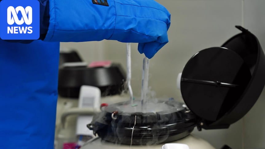 High Court rules in favour of prisoner trying to freeze her eggs 1 3792b10864f72206aac60356ee23299a683cabea2adde0001858aeb1ee44931a