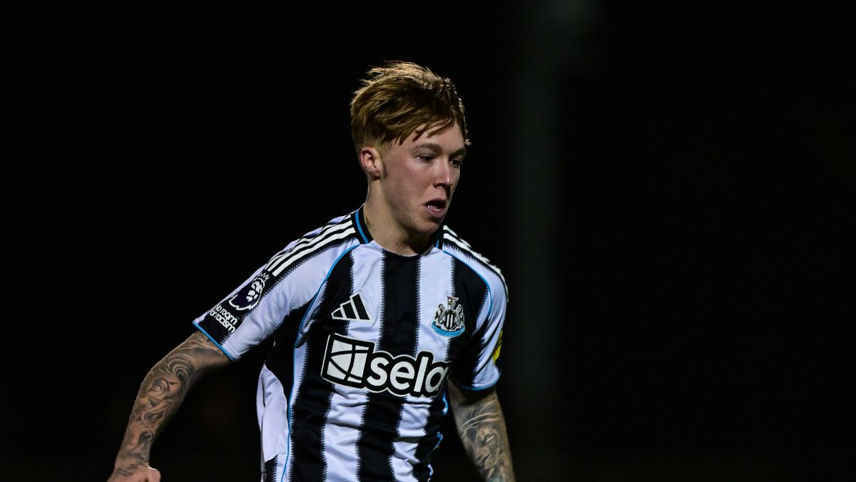 Alfie Harrison set for Dundee transfer as ex Newcastle and Man City kid ready to help solve injury crisis 1 3a68452fb1c9cee72eb5002a33c50c75ea46a5141ac77f5849d431102507b78e