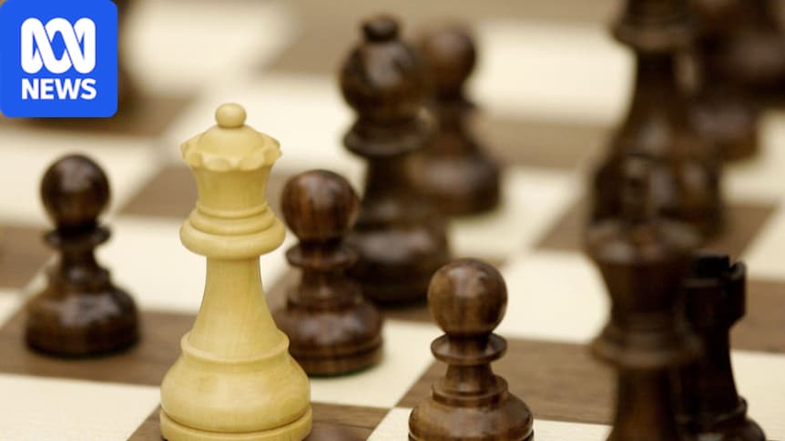Chess professional's alleged stalker goes on hunger strike 1 3c91d77fcb6b91b9b7e27ffc00b07c10458b6758f7661423cd63e8c7874392a6